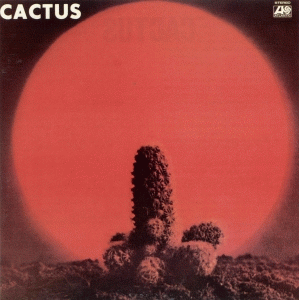 Cactus