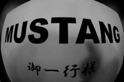 logo Mustang logo Mustang