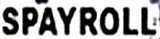 logo Spayroll logo Spayroll