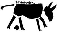 logo Tindersticks logo Tindersticks